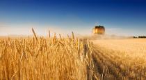 Сельское хозяйство - в качестве кормовой добавки и удобрения для почвы
